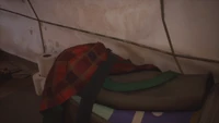 LiS2-JacobTent-Internal-6.png (1.43 MB) Jacob's tie.