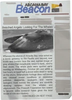 "Beached Angels: Looking For The Whales" (alternative timeline)