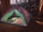 Diaz Tent