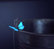 Blue Butterfly .png
