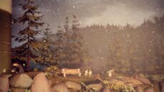 LifeIsStrange 2015-05-23 13-38-20-85