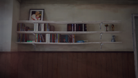 A bookshelf