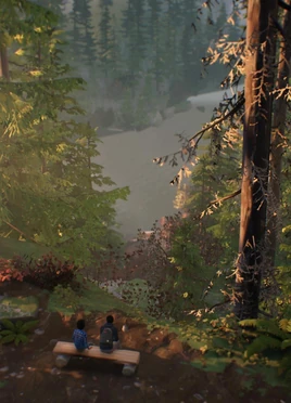 Mount Rainer National Park2