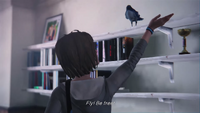 Max in the original Life is Strange ("Dark Room")