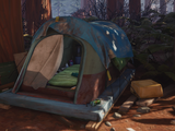 Finn's Tent