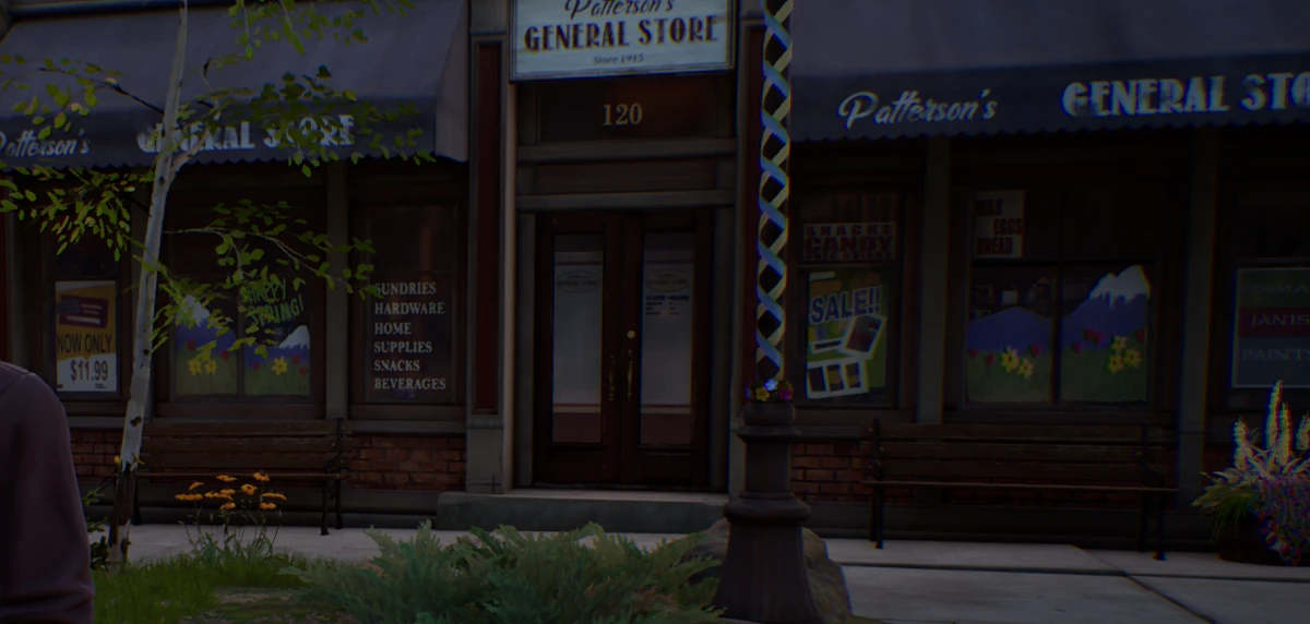 Patterson's General Store Life is Strange Wiki Fandom