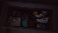 A chest of Karen's old belongings.