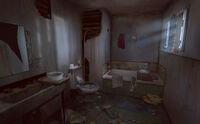 An interior shot of the bathroom in the abandoned house (#1).