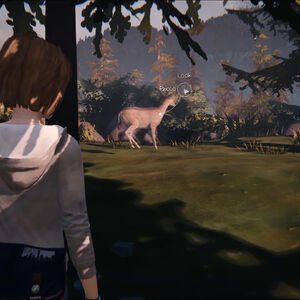 American Rust Junkyard Life Is Strange Wiki Fandom I played through all of it, replayed parts of it different times to get different outcomes, just chloe is a walking cliche hipster/emo, and whiney bitch, who's problems are all her own fault, yet we're supposed to sympathize with her and like her because oh, my dad died.