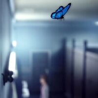 Blue Butterfly Life Is Strange Wiki Fandom Blue is a color associated with the sea, sky, wisdom, calm, and cold. blue butterfly life is strange wiki