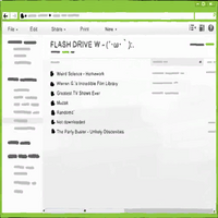 Warren's flash drive contents (minus the MAX folder) as seen on Chloe's computer in Episode 4.