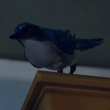 Blue Jay Life Is Strange Wiki Fandom The dragon's eye jewel held by the old god. blue jay life is strange wiki fandom