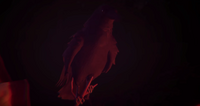 Always watching.png (329 KB) The raven in the third dream.