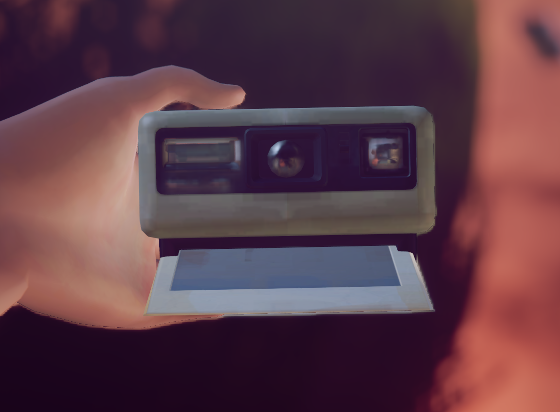 Max camera. Макс Колфилд с фотоаппаратом. Life is Strange фотоаппарат. Полароид Вики. Лайф камера.