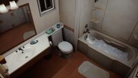 Three Seals Motel - Room 10 bathroom