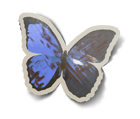 UI TX MetaInventory Souvenirs DLC ArcadiaBay Butterfly