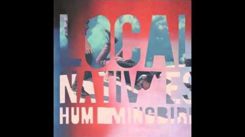 Local Natives - Mt. Washington HD