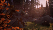 Haven Springs - Nature3