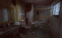 Abandoned forest house - Bathroom.