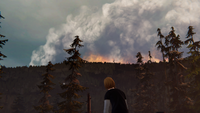 Chloe watching the forest fire