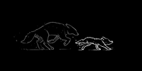 Wolf daniel clip