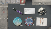 Complete optional collectibles page for Episode 4 - "Faith".