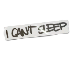 Sean S Souvenirs Life Is Strange Wiki Fandom