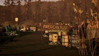 American rust