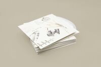 Daughter vinyl 1.jpg (99 KB)