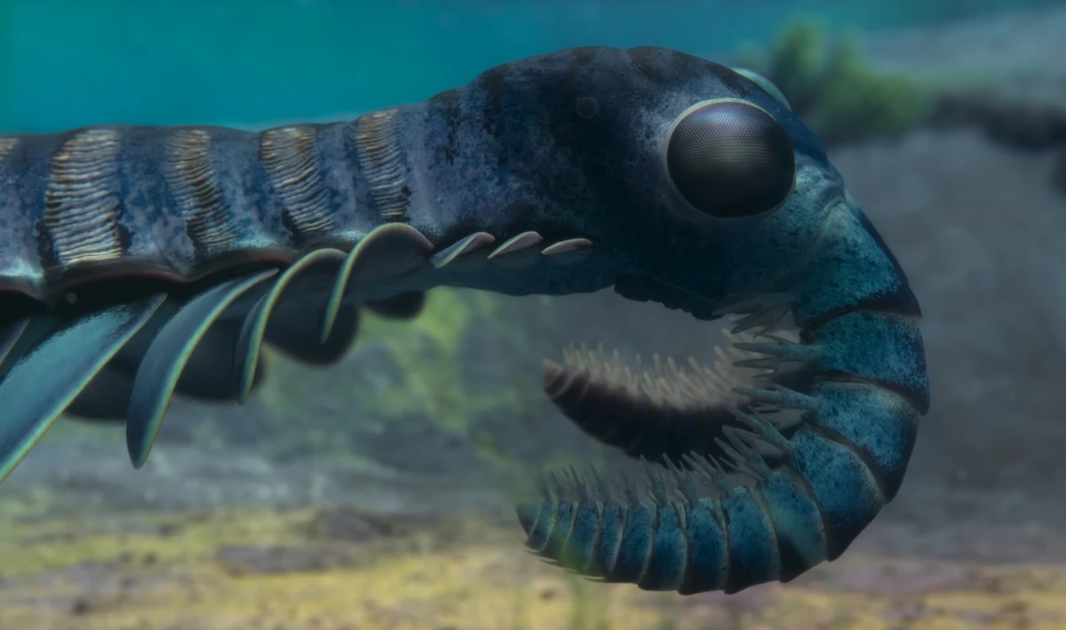 anomalocaris-life-on-our-planet-wiki-fandom