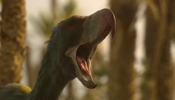 Phorusrhacos Life On Our Planet Wiki Fandom