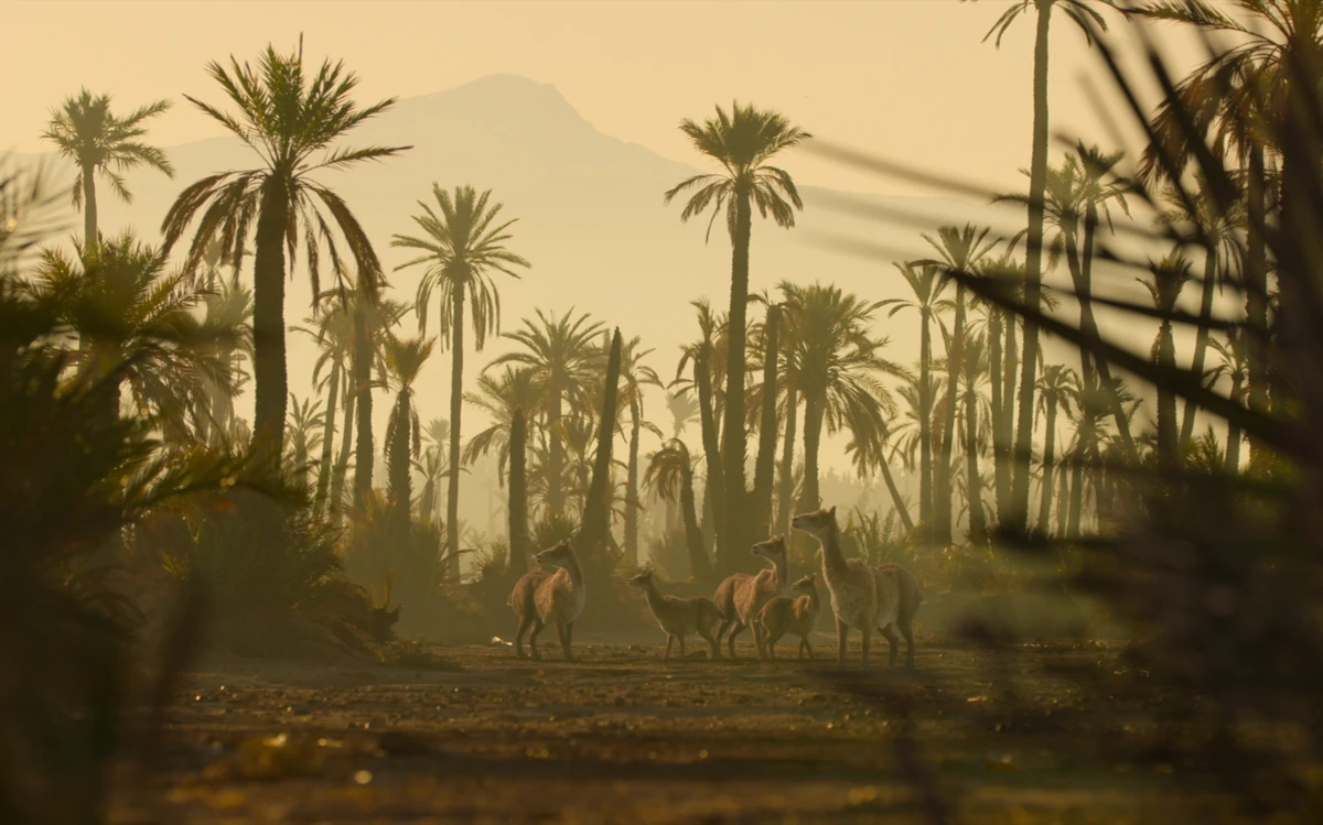 Santa Cruz Formation Life On Our Wiki Fandom