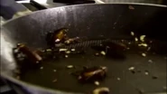 Cockroachfeast.png (1.24 MB) Cockroaches feasting on food remains.