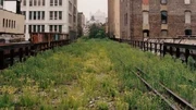Examples of plant life in  can be seen at the .