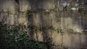 The volcanic ash keeps water out of the concrete.