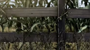 FarmCropsFence..png (1.78 MB)