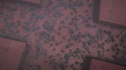 Every single rats on the cargo ship dies.