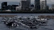 The levees fall apart.