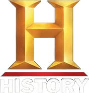 A transparent render of the logo, with white text.