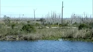The dikes at the Everglades.