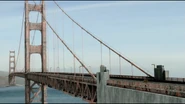 A bear on the bridge.