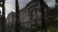 The Buckingham Palace is breached by vines and moss in 5 years after people.