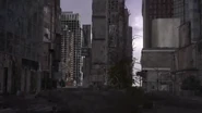 Times Square during the time lapse, with decay starting to spread.