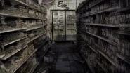 The shelves of the grocery store after 30 years.
