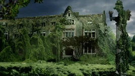 OglethorpeUniversityovergrown