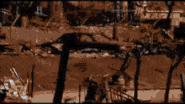 HospitableFarawayFlyingfox-max-1mb.gif (814 KB) The collapse GIF.