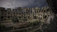 The arena is filled with plant growth.