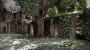 Oak trees start crushing the Alamo.