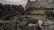 Overgrown plants at the Colosseum.