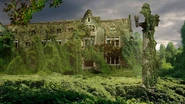 Concept of Oglethorpe University, which is covered in kudzu.